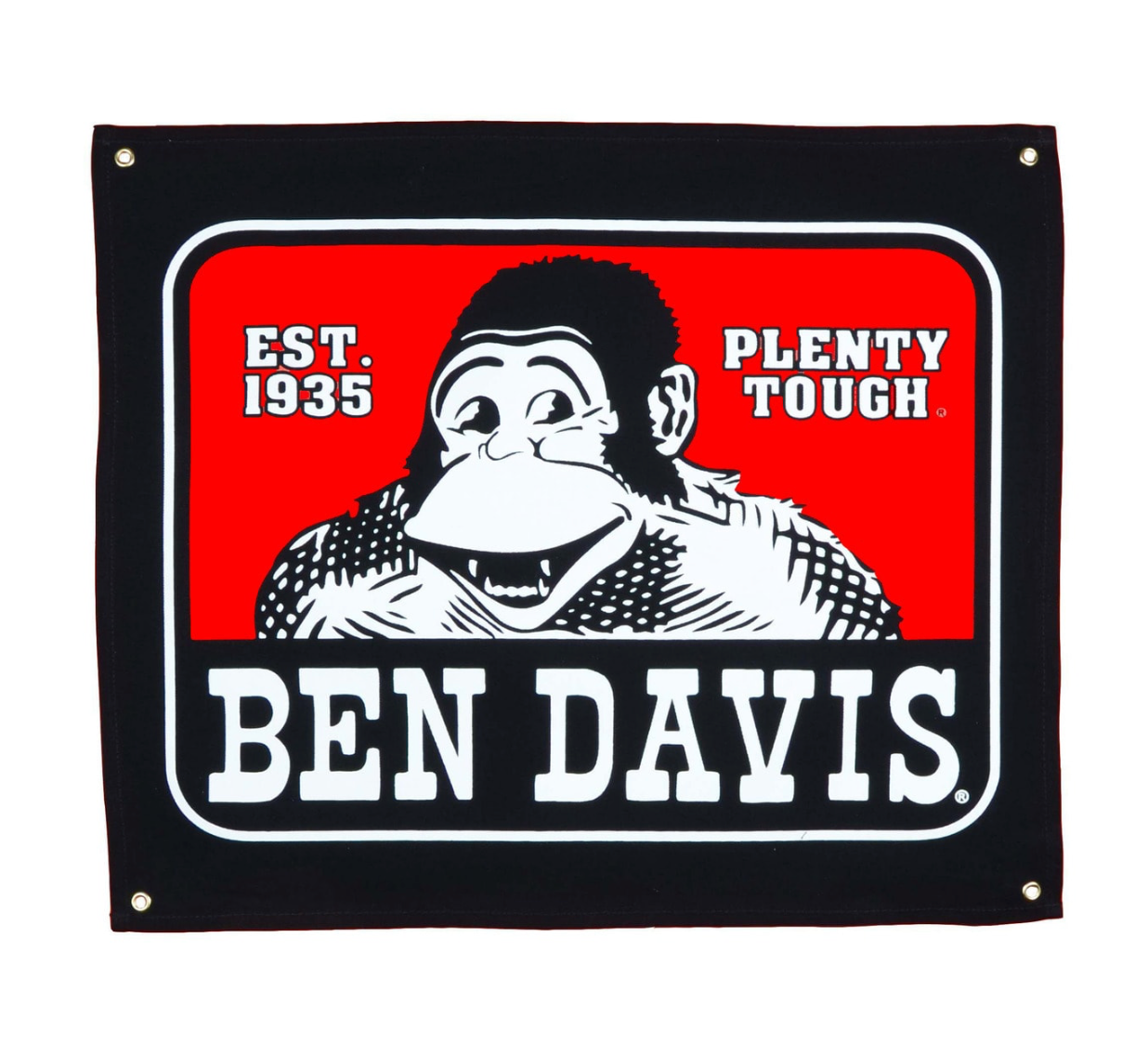 Ben Davis Classic Logo Banner