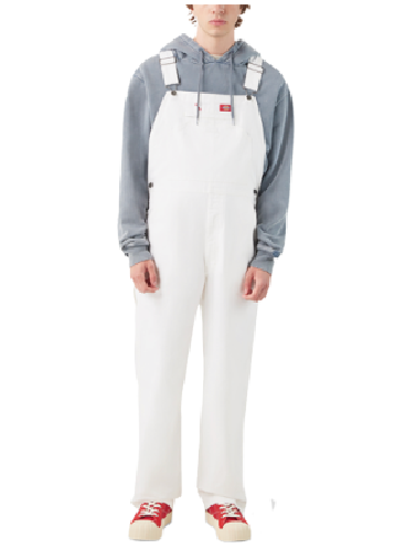 Dickies Men's Painter Bib Overall