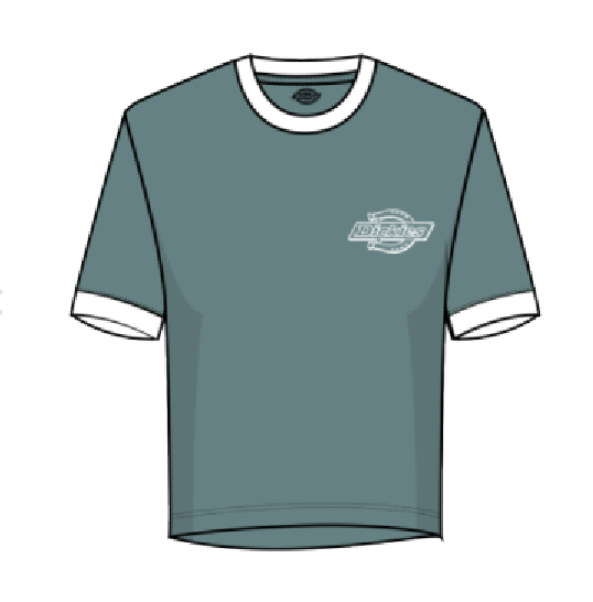 Dickies Women's Plainville Ringer Tee